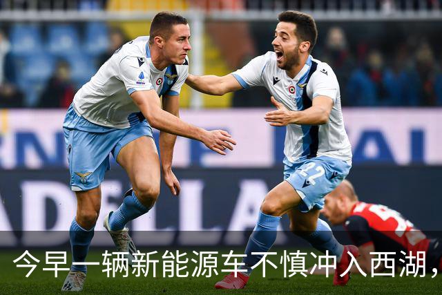 今早一辆新能源车不慎冲入西湖，一男一女从水中爬出