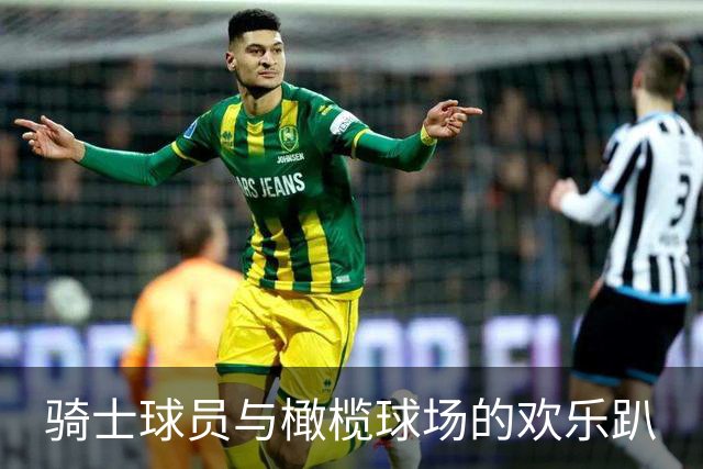 骑士球员与橄榄球场的欢乐趴